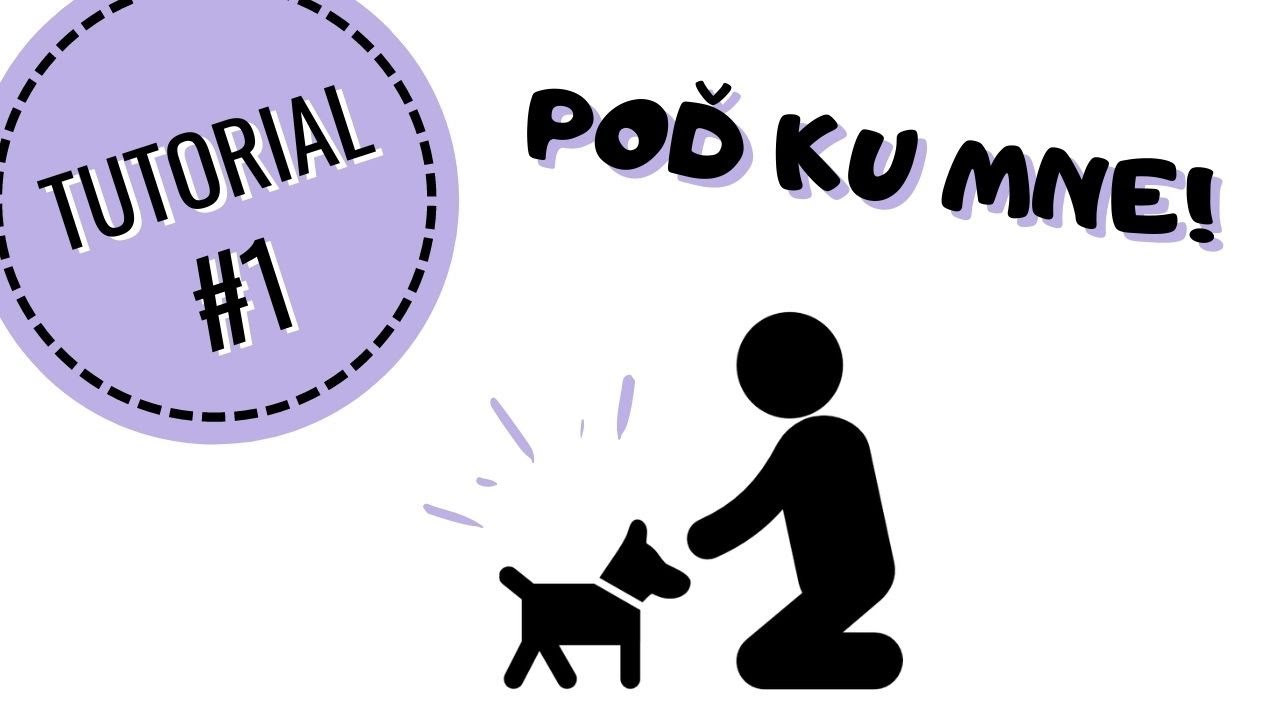 AKO PRIVOLAŤ KAŽDÉHO PSA | výcvik psa