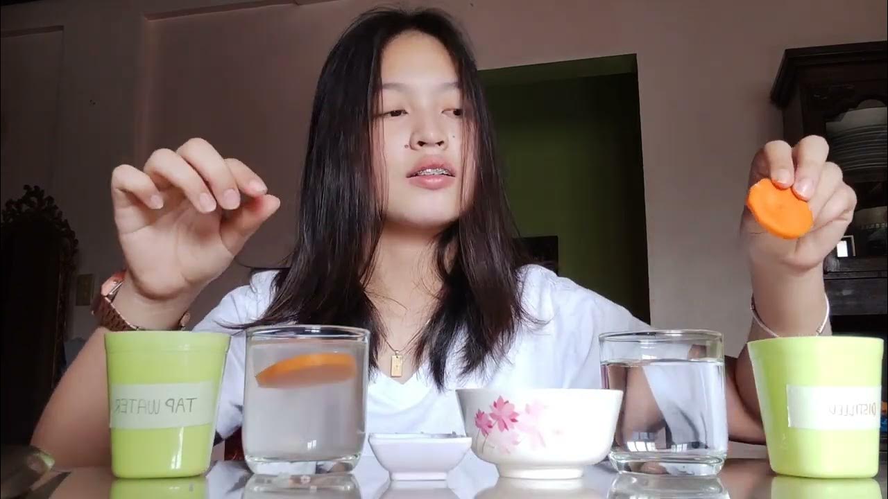 Carrot Osmosis Experiment YouTube