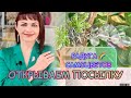 РАДУГА 🌈 САМОЦВЕТОВ🌟Открываем Посылку🌹Только ‼️Натуральные Камни🔆Флюорит🌸Тигровый Глаз 👁 и др.