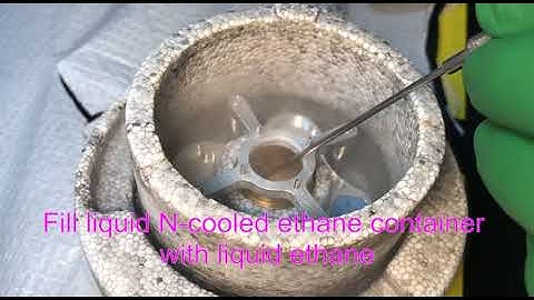 FEI Vitrobot MkIV Grid Plunging System operation (FEMR, McGill University).