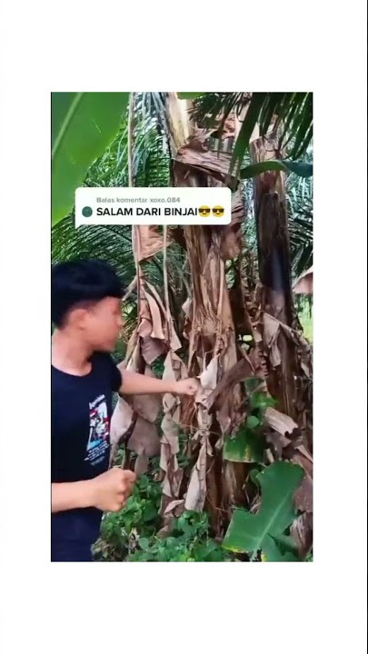 Penjelasan Meme Salam Dari Binjai #shorts