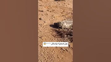 Desert Jinn, Oh God, 0000. #youtubeshorts #travel #viralvideos #nature #desert #jinn