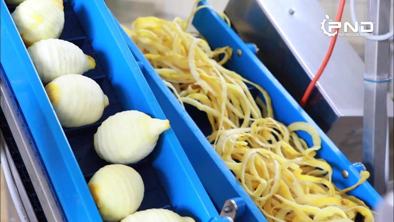 PND Lemon Zesting machine mod. PL6 YouTube