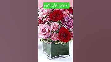 القرآن الكريم #يارب #التغطيه #اكسبلور #المراه #ترند #تيك_توك #الجبار #flowers #اعتني #الوكره