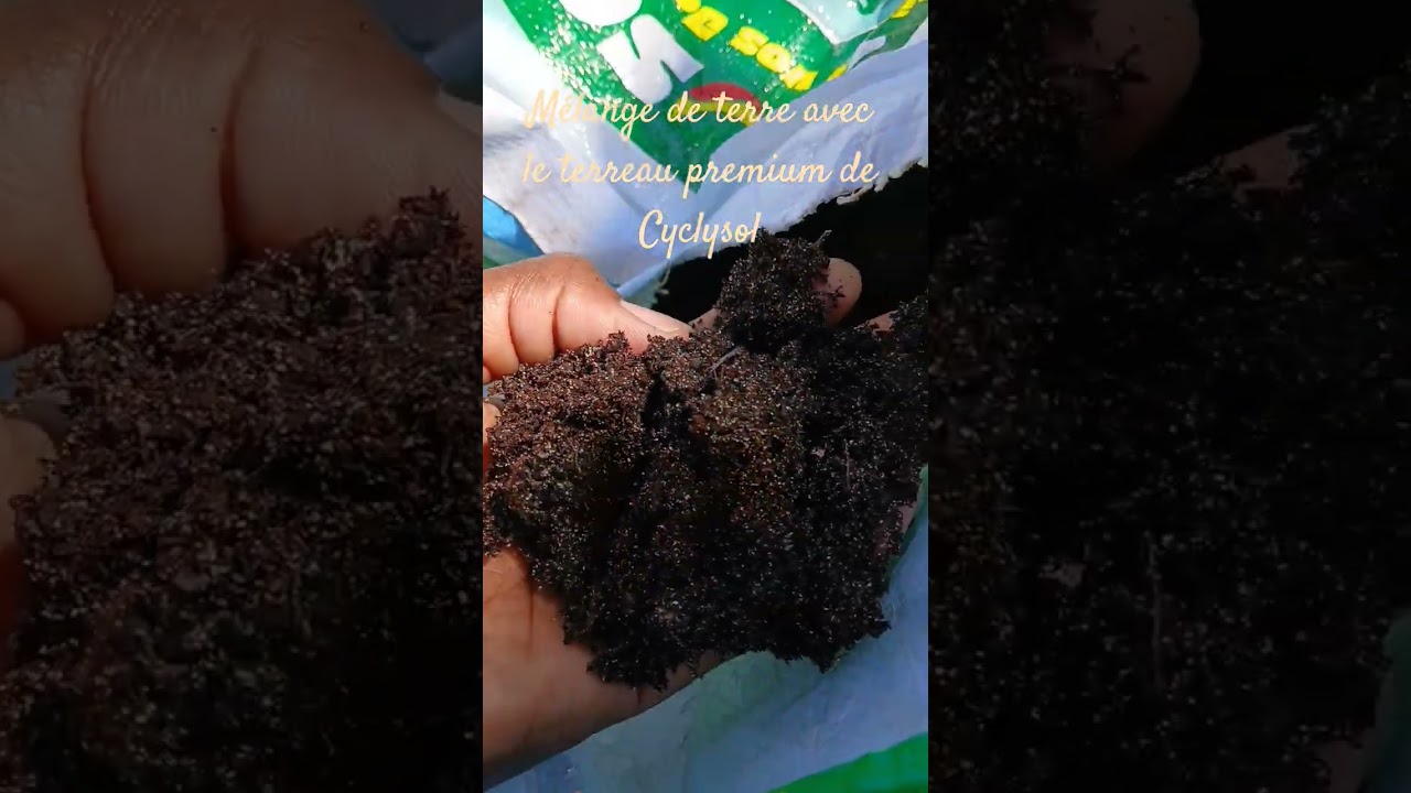 terreau premium de Cyclosol 