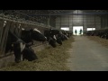 Strengthening Ukraine’s Dairy Sector