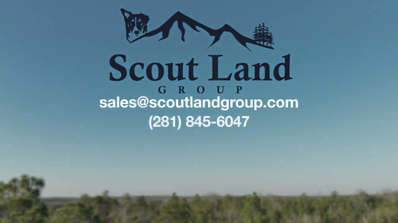 Wooded, Flat, Rural 5acres in Crawford County, Georgia - Overview