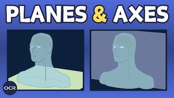 Planes of movement and axes of rotation - OCR GCSE PE - Movement Analysis (1.3)