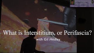 What is Interstitium, or Perifascia? Gil Hedley dissects 'the fuzz' on camera