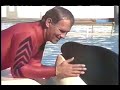 Middle of video