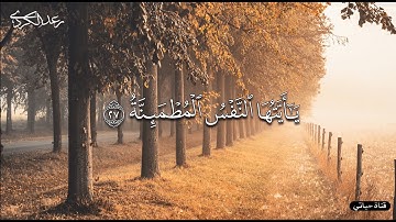 كلا إذا دكت الأرض دكا دكا _ من روائع التلاوات الخاشعة للشيخ رعد محمد الكردي 🤍حالات واتس اب قرآن  🤍