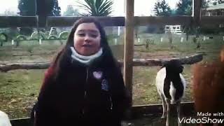 Granja Educativa Trabuncura..