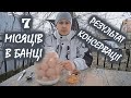 Яйця в банці на зиму. Хранения куриных яиц. Результат косервації.