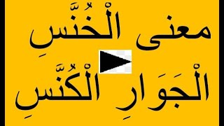 معنى الْخُنَّسِ الْجَوَارِ الْكُنَّسِ