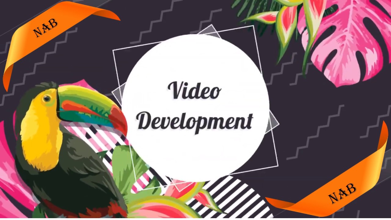 Vi Video Development video development - YouTube