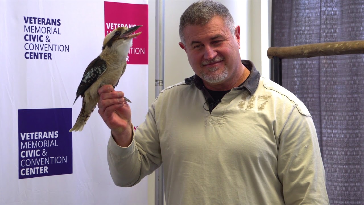 Wild World of Animals on Chewin' the Bean