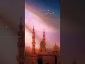 هل أتى على الإنسان حين من الدهر لم يكن شيئا مذكورا