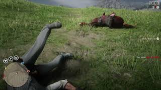 Pvp Against Random Makes Them Start Killing My Horse Red Dead Online No Commentary