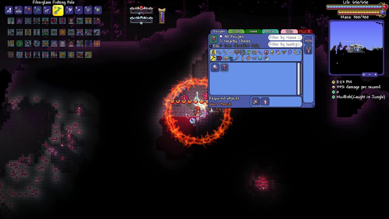 Boar Brother Live Stream