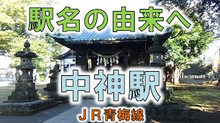 【中神(JR青梅線)】中神熊野神社は旧中神村の鎮守社！！【由来紀行283東京都】