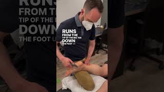 Chronic ankle issues? Chronic groin pulls? Watch this! #shorts