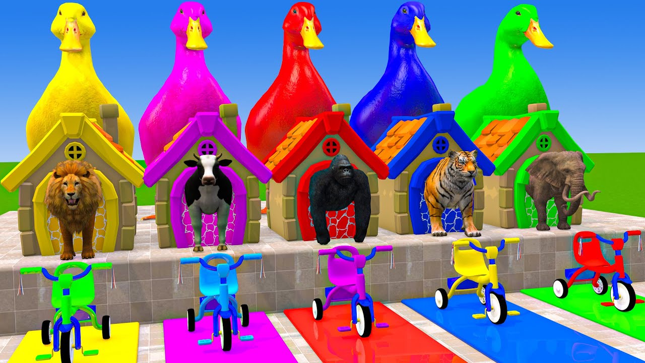Long Slide Game With Cow Elephant Gorilla Hippopotamus Tiger 3d Animal Game Funny 3d Animals