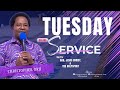 Tuesday Online Service With God Jesus Christ The Holy Spirit Cojim Logif Cojim Org 22 07 2025 Tuesday Online Service With God Jesus Christ The Holy Spirit Cojim Logif Cojim Org 22 07 2025