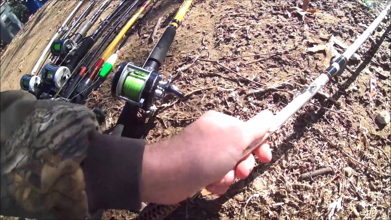 catfish rod and reel arsenal YouTube