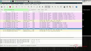 PTP v5 course Network Security Module 1Information Gathering Host discovery with Fping Hping Nmap
