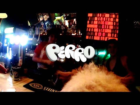 POETAS PUESTOS - PERRO (TONTOS FELICES LP) auf YouTube ansehen POETAS PUESTOS - PERRO (TONTOS FELICES LP) auf YouTube ansehen