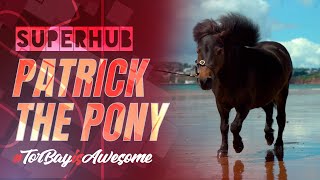 #TorBayIsAwesome Latest collaboration with Patrick The Pony | Superhub