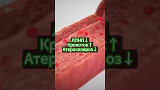 L-КАРНИТИН#здоровье#спорт#здоровыйдух#sports#добавки #мужскоездоровье#обзор #пустышка #testosterone