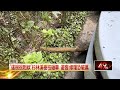 地方活動、旅遊生活與公共安全