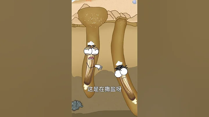抓蟶子為什麼用鹽 - 天天要聞