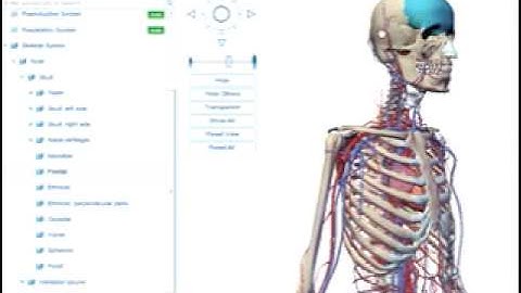 Tutorial for Visible Body: Human Anatomy