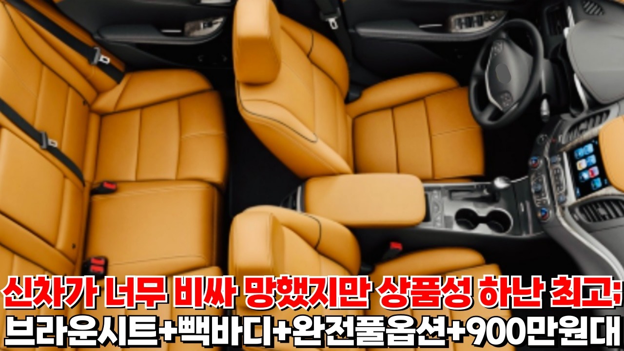 신차 책정가실패로 신차에선 망했지만 상품성만큼은 좋음!! 브라운시트+빽바디+완전풀옵션+900만원대