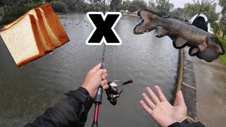 Ultra Light vs Monster Koi (Insane Fight!)