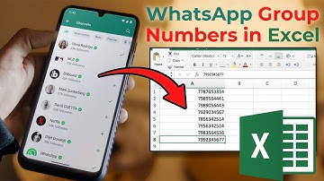 How to Export WhatsApp Group Contacts to Excel [Step-by-step] in Hindi @mraphicstudio