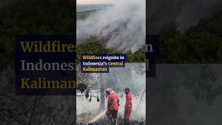 Wildfires reignite in Indonesia’s Central Kalimantan