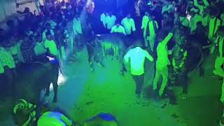 Jenige Brothers Sadar 2K20 Kurmal Guda