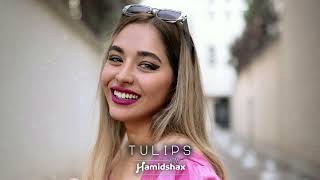 Hamidshax - Tulips (Original Mix)
