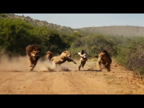 Видео: Через Секунду Его не Станет! Случаи с Животными 1 на Миллион Снятые на Камеру