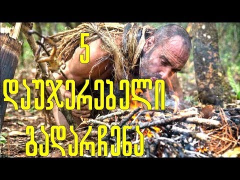 გასაოცარი გადარჩენის ტოპ 5 შემთხვევა