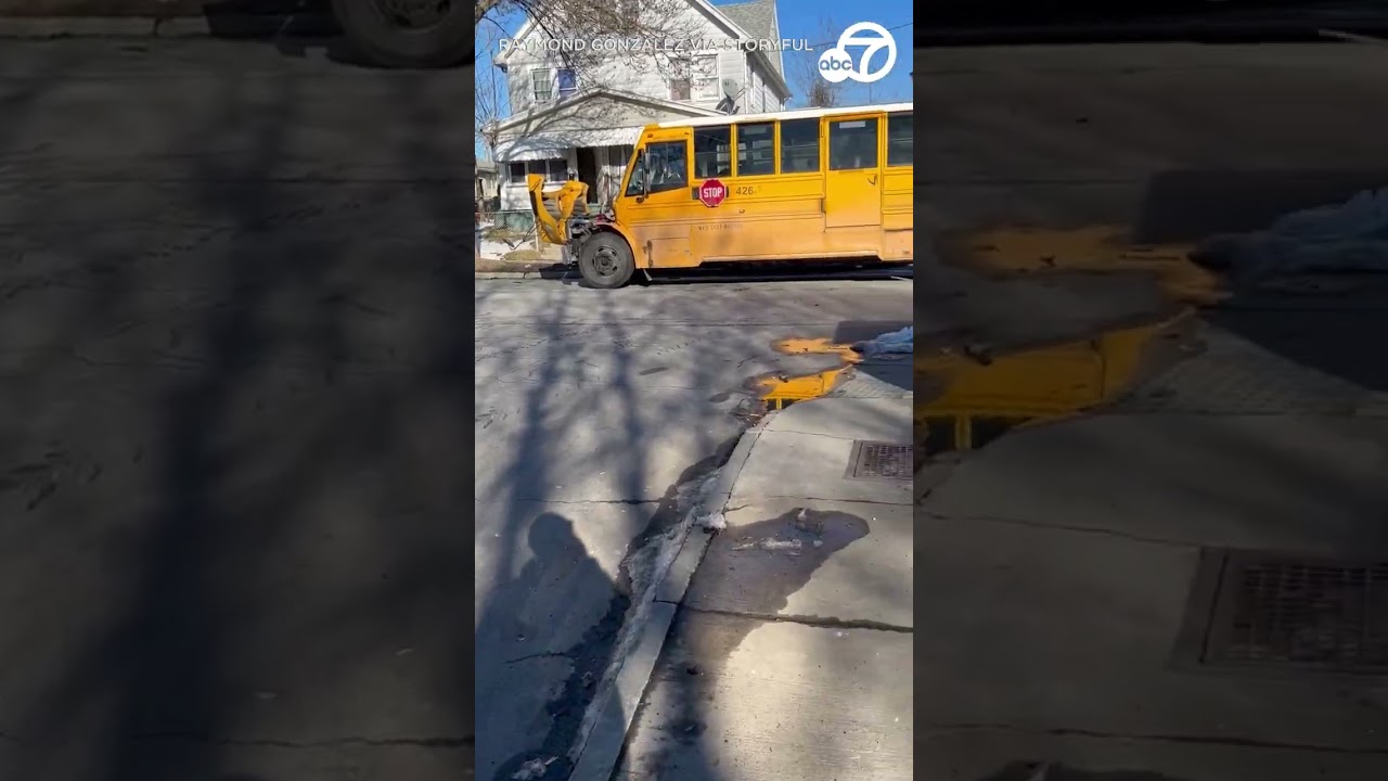 Carjacking suspects charged after backing into police car, colliding with school bus