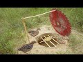 Amazing Simple Quail Bird Trap Make From Electric Cutter & Hole