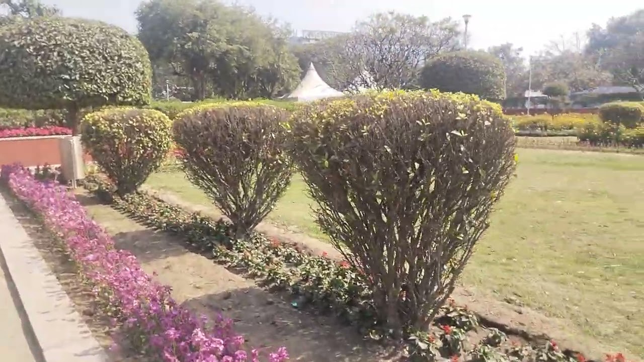 Baba hardeyal park delhi ☘️☘️☘️☘️🫣🫣🫣🫣🫣