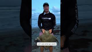 Use Big Bait to Catch Big Fish #Fishing #SaltwaterFishing #bigfish