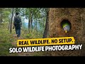 No Setup Wildlife Photography 😳 Real Bird Moments | Solo Shoot. #ytshorts #shorts #wildlife #canon