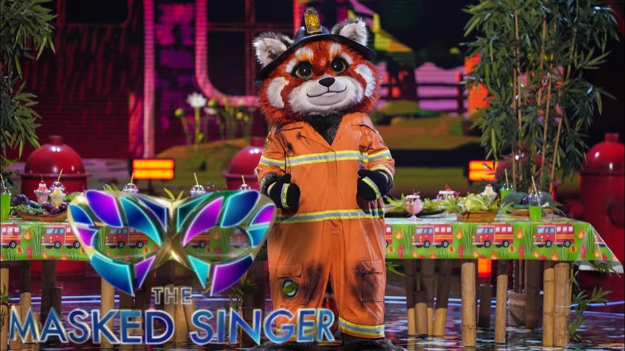 Red Panda Singer Red Panda sings