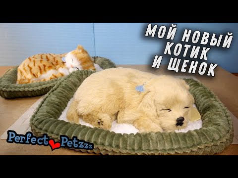 Мой Новый Котенок и Щенок дышащие игрушки Perfect Petzzz